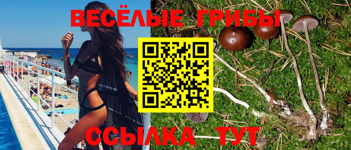 Псилоцибиновые грибы мицелий Иваново